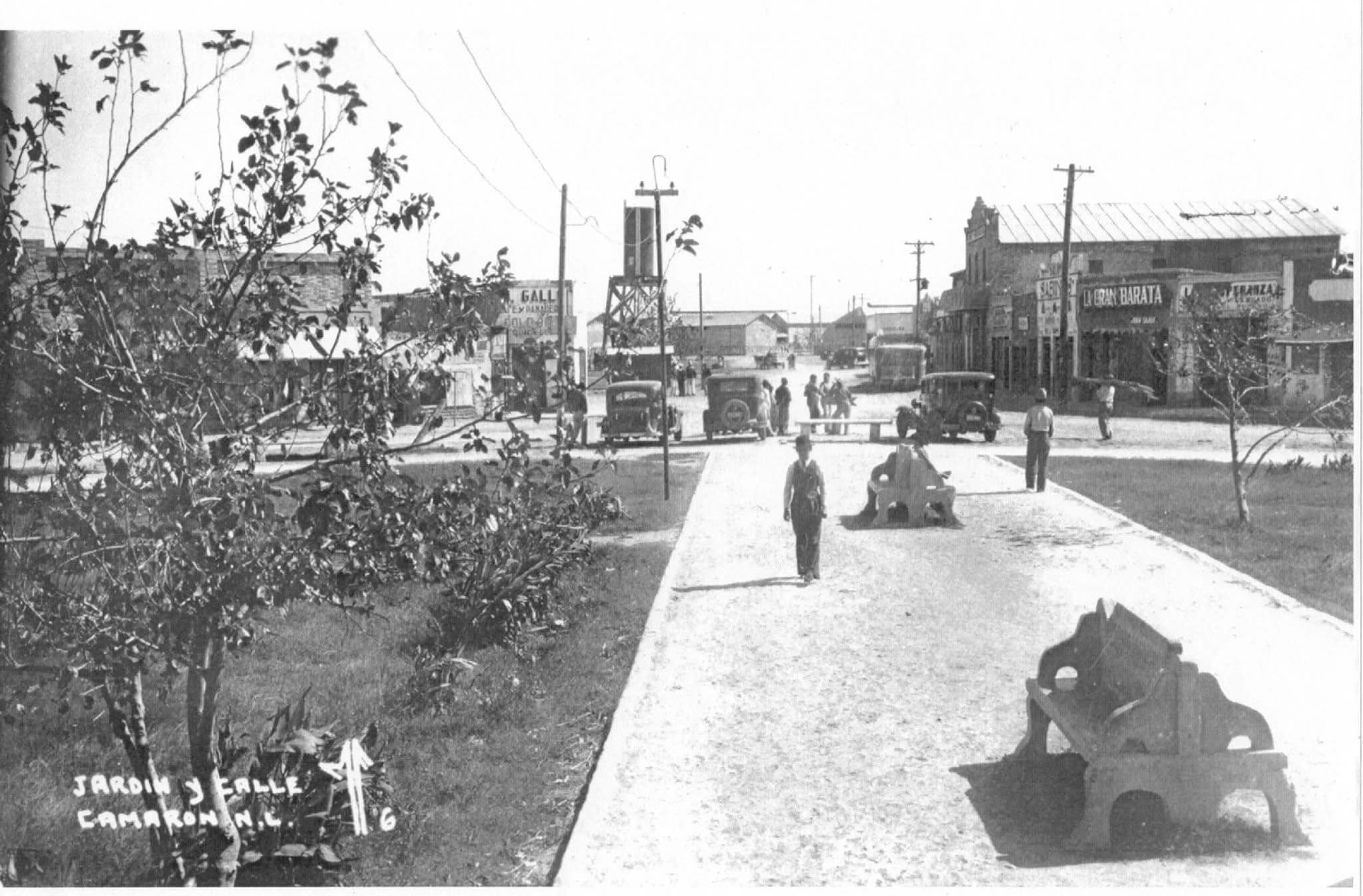 Fotografía: Camarón (Estación Camarón, N.L.)